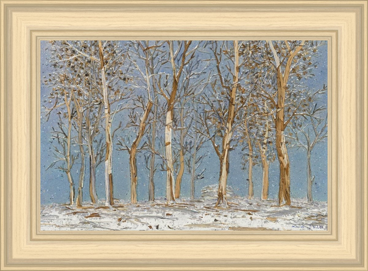 Winter Woods