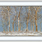 Winter Woods