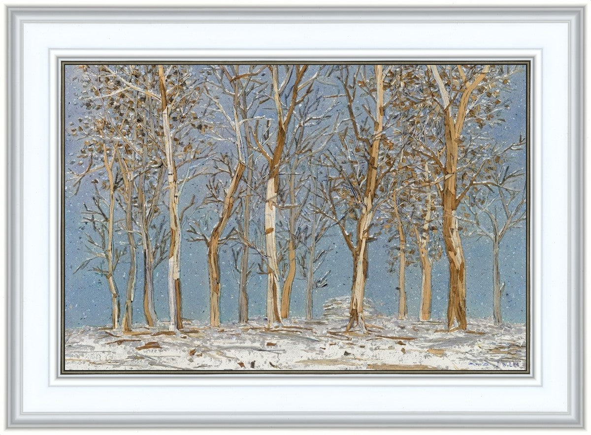 Winter Woods