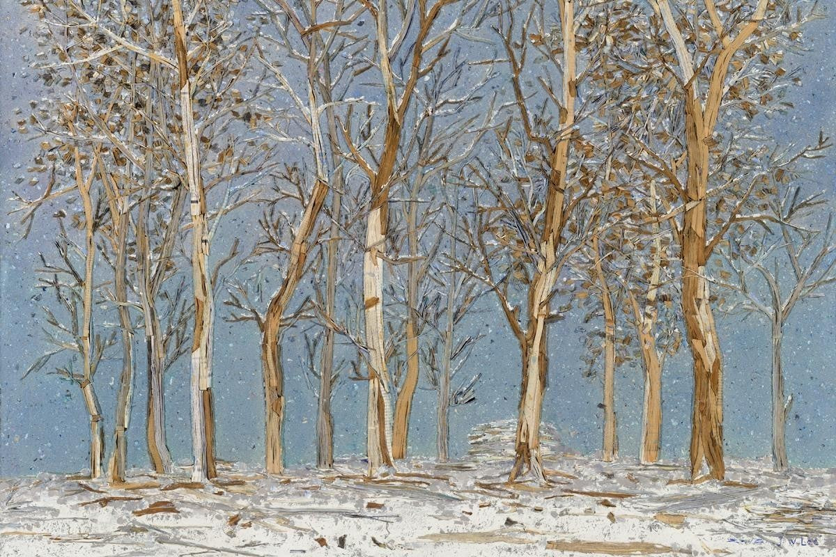 Winter Woods