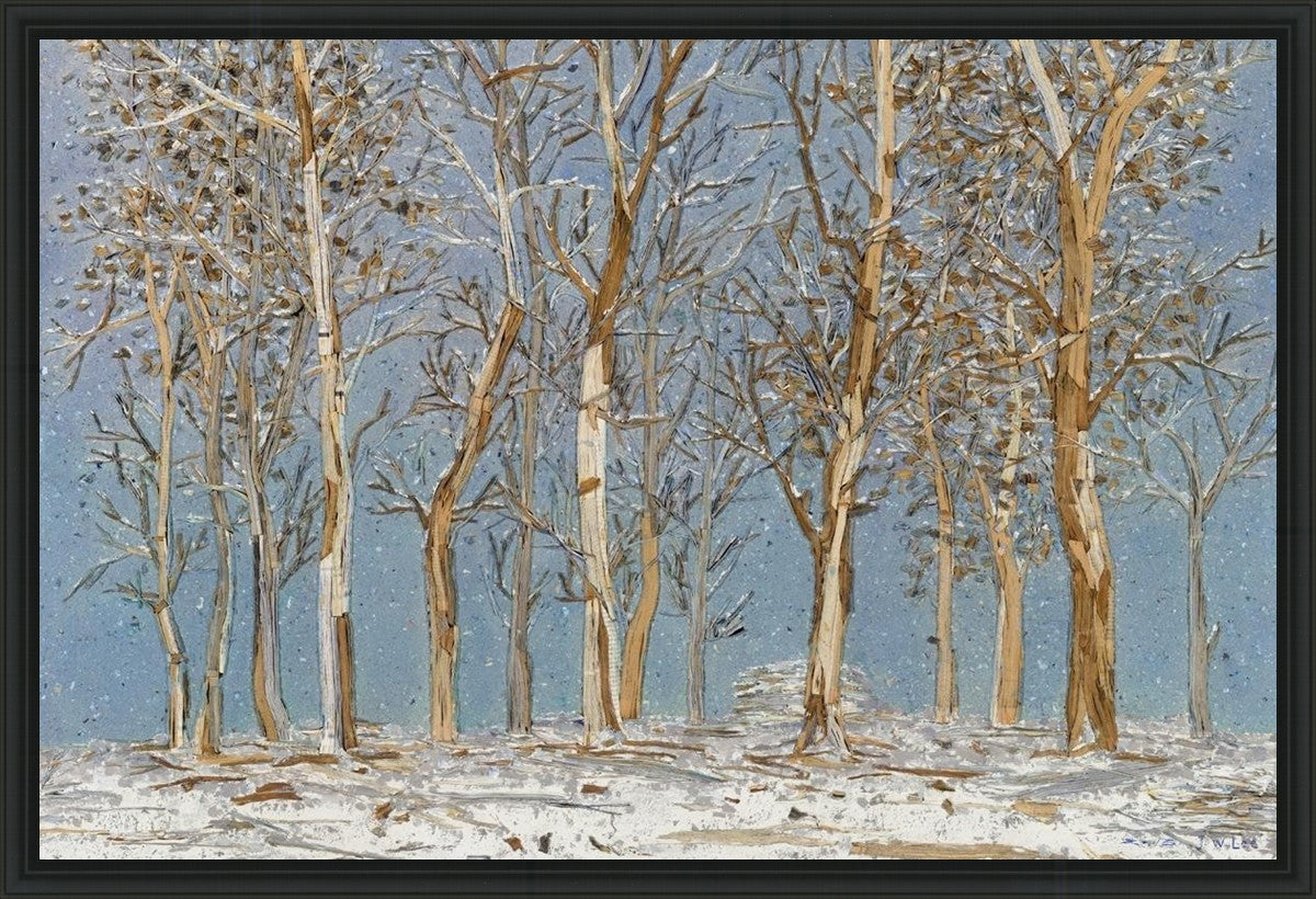 Winter Woods