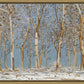 Winter Woods