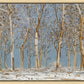 Winter Woods