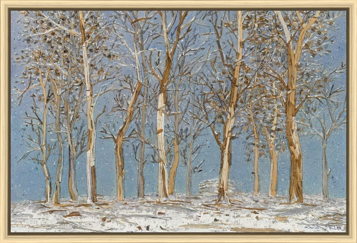Winter Woods