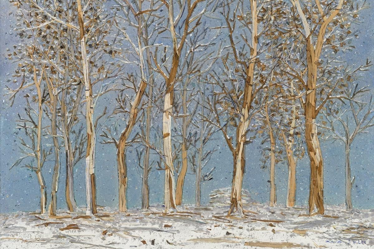 Winter Woods