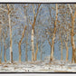 Winter Woods