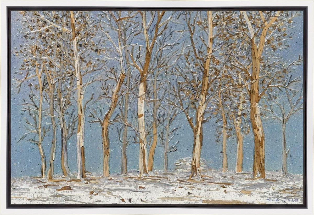 Winter Woods