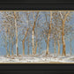 Winter Woods
