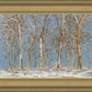 Winter Woods