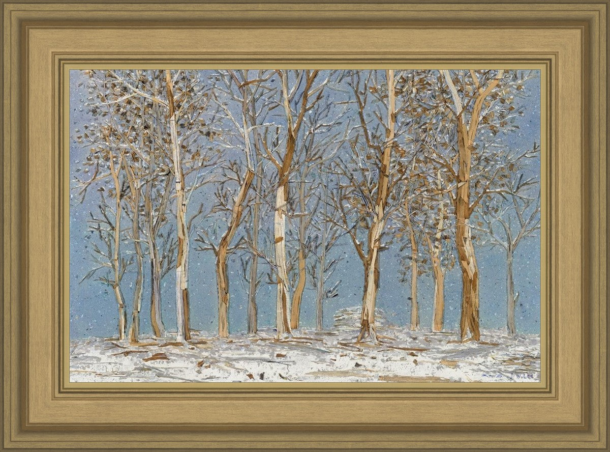 Winter Woods