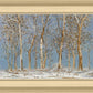 Winter Woods