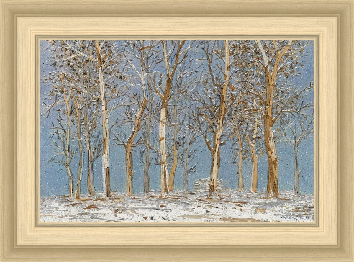 Winter Woods