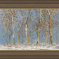 Winter Woods