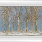 Winter Woods