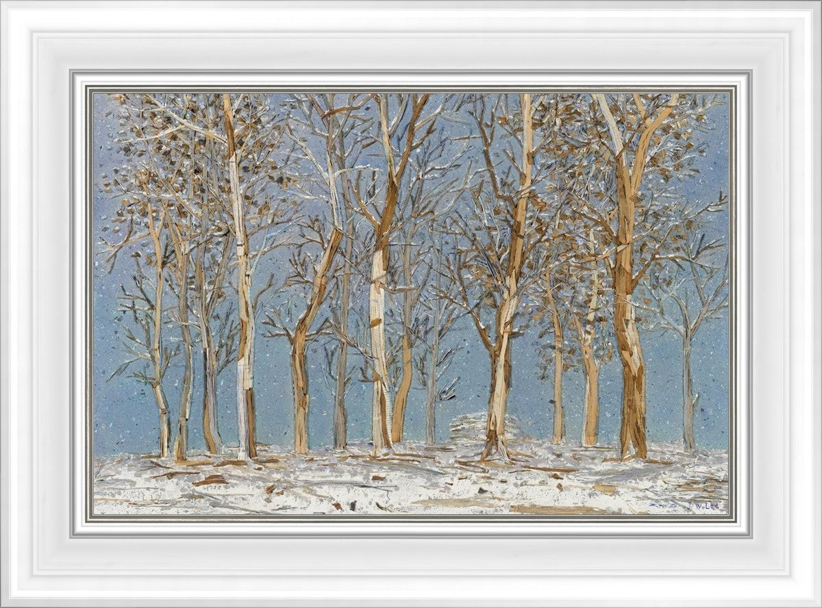 Winter Woods