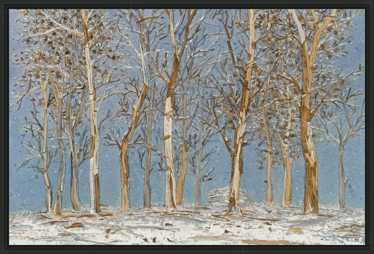 Winter Woods