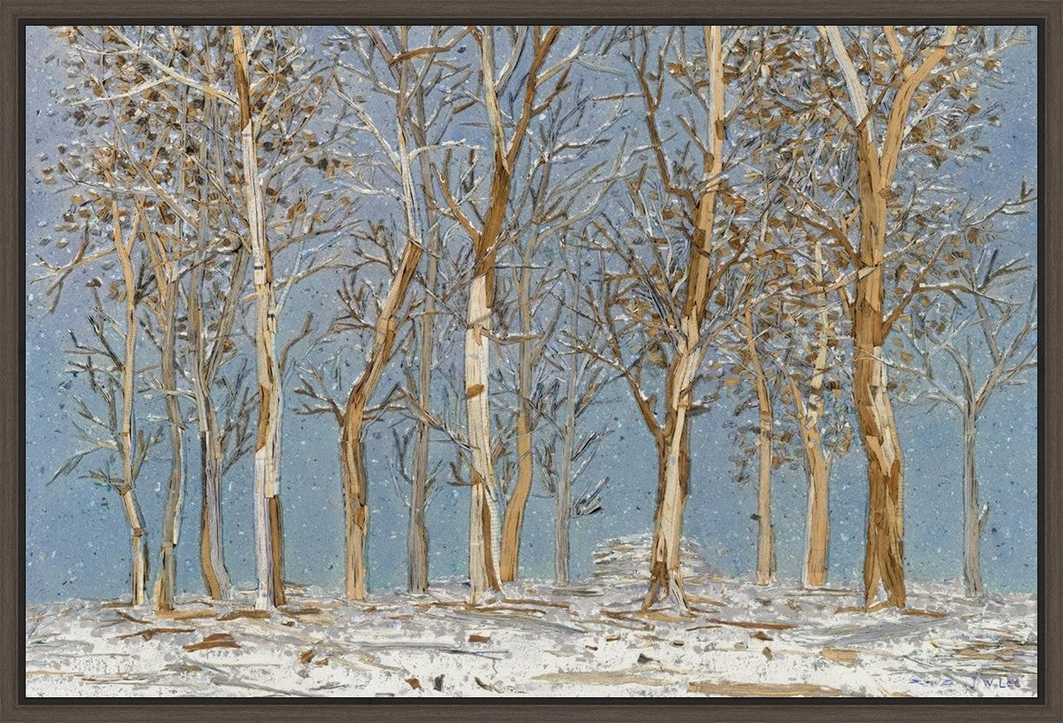 Winter Woods