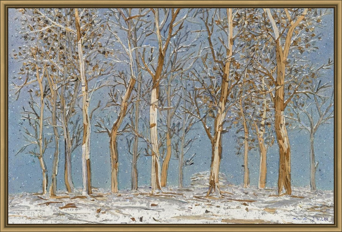 Winter Woods