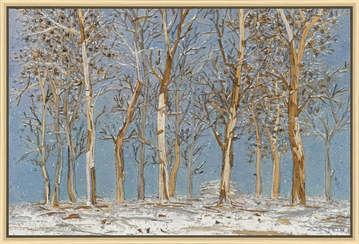 Winter Woods
