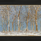 Winter Woods