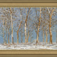 Winter Woods