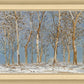 Winter Woods