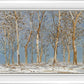 Winter Woods