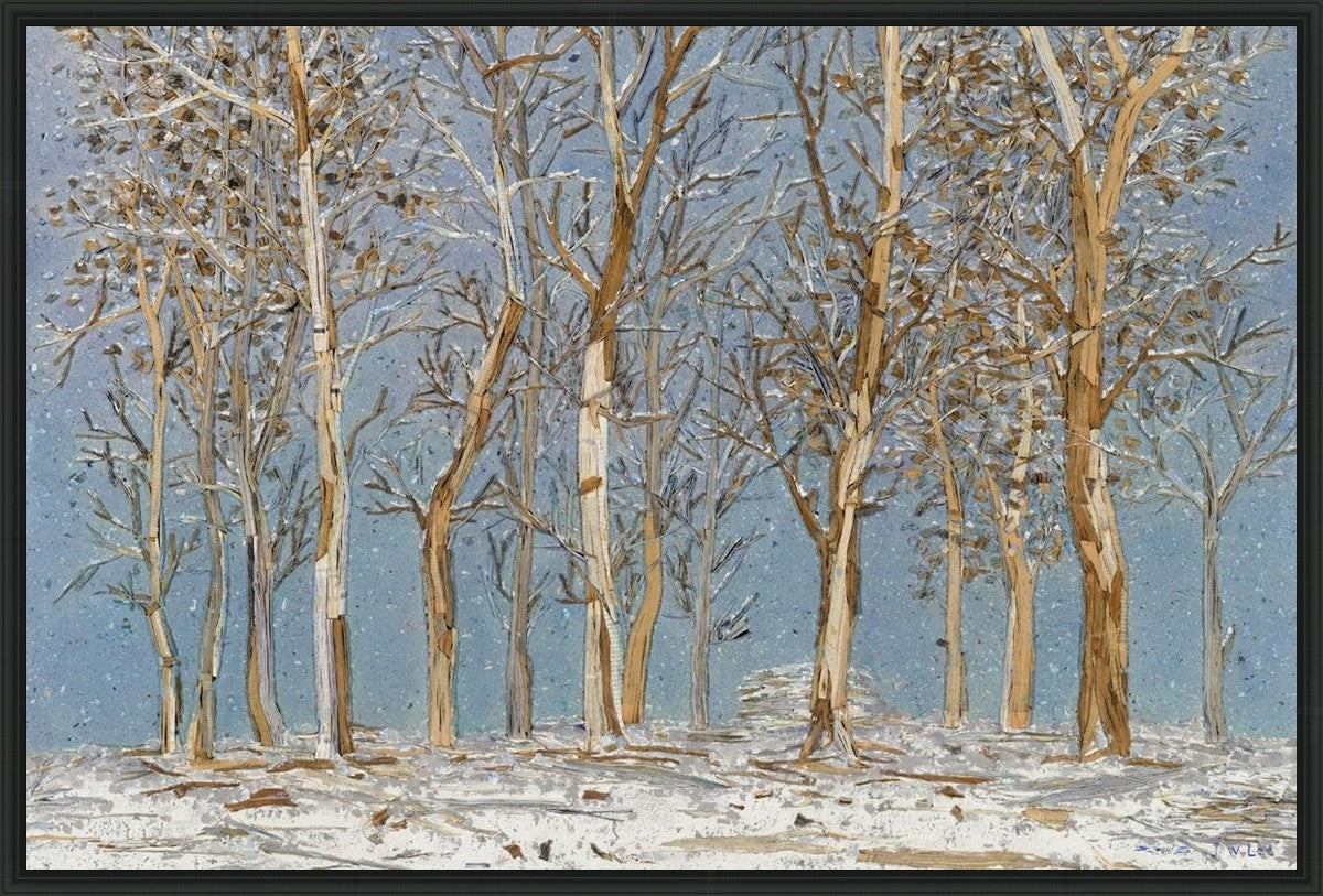 Winter Woods