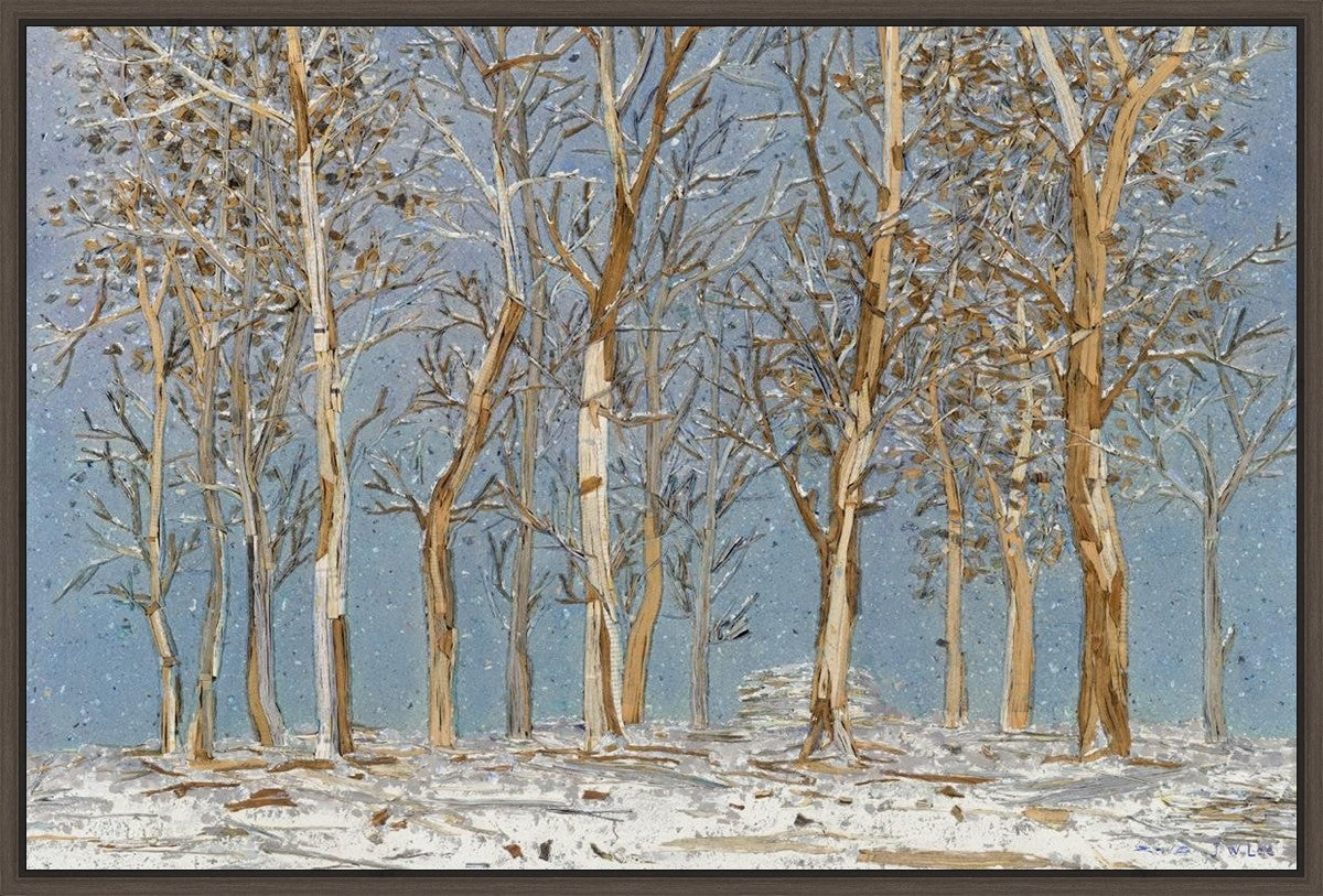 Winter Woods