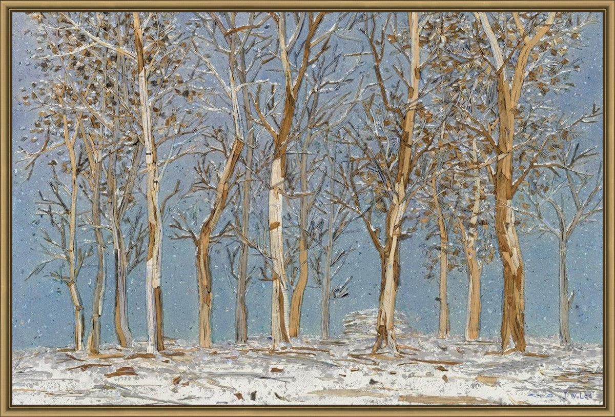 Winter Woods