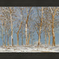 Winter Woods