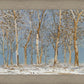 Winter Woods