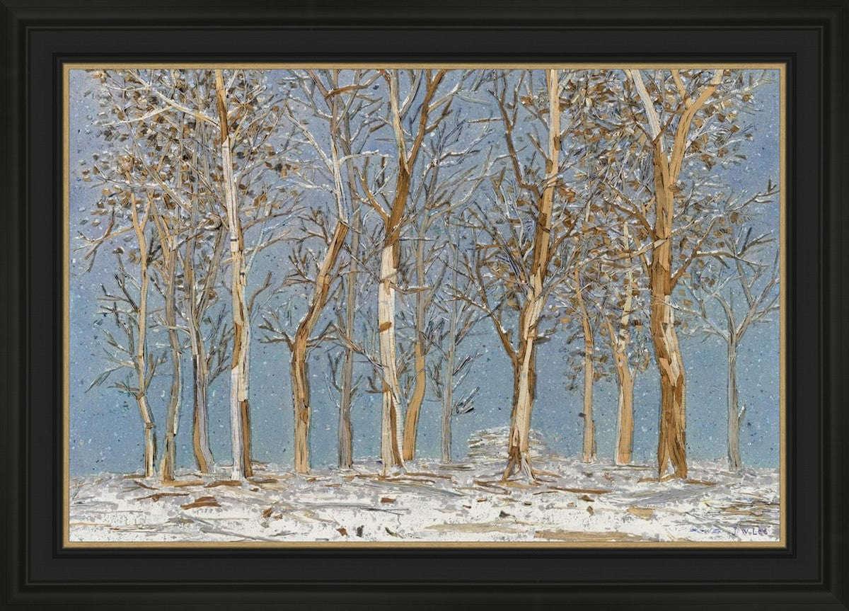 Winter Woods