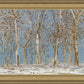 Winter Woods