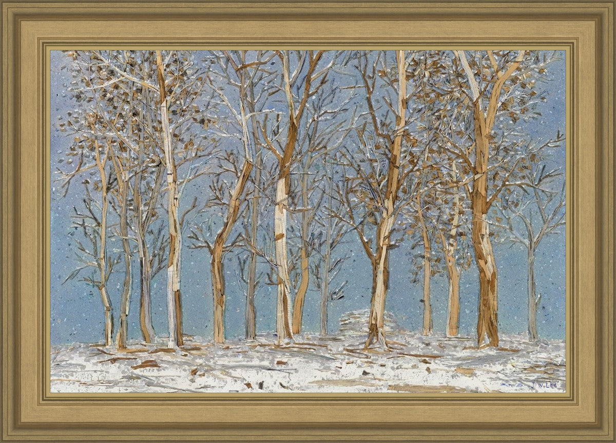 Winter Woods