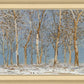 Winter Woods