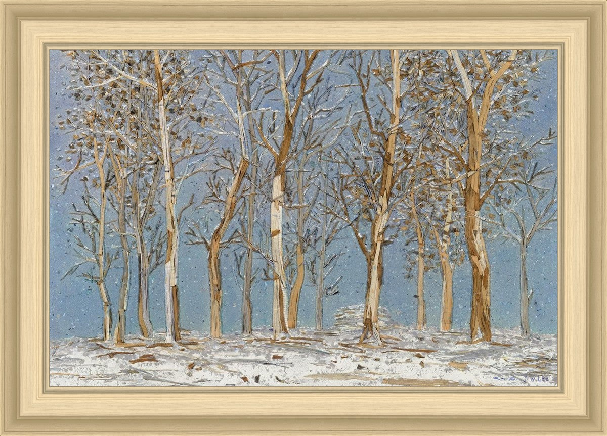 Winter Woods