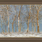 Winter Woods