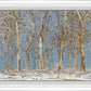 Winter Woods