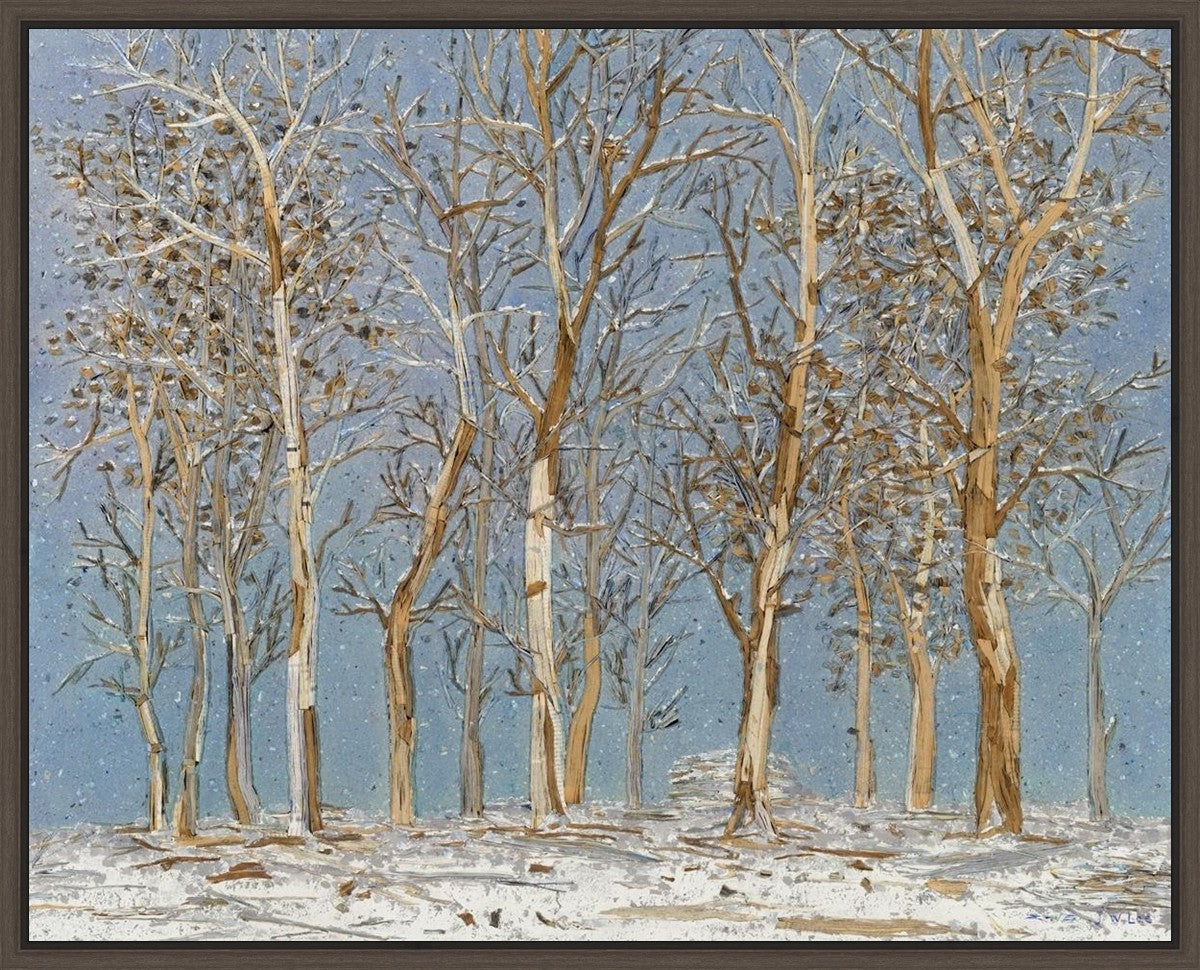 Winter Woods