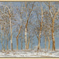 Winter Woods