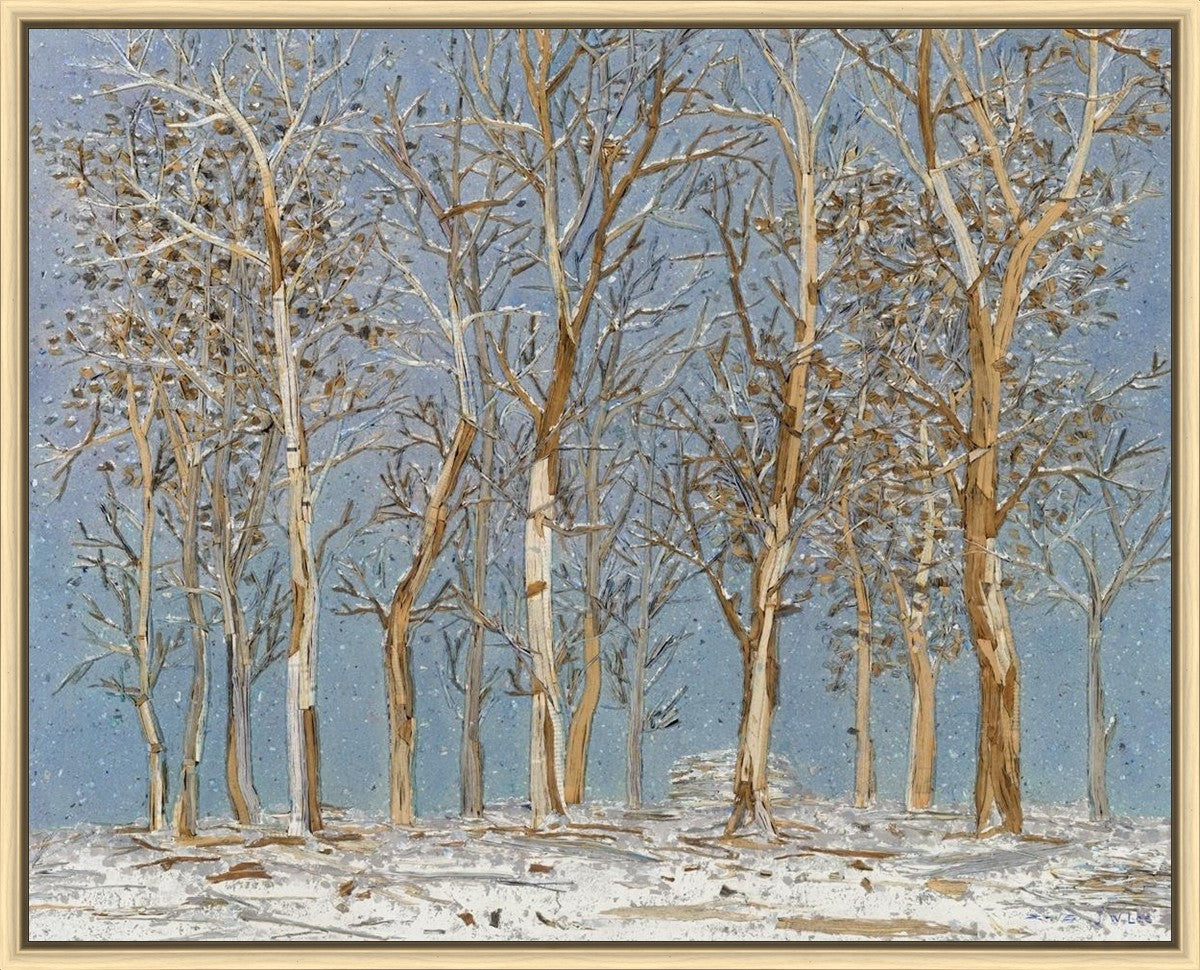 Winter Woods