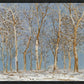 Winter Woods