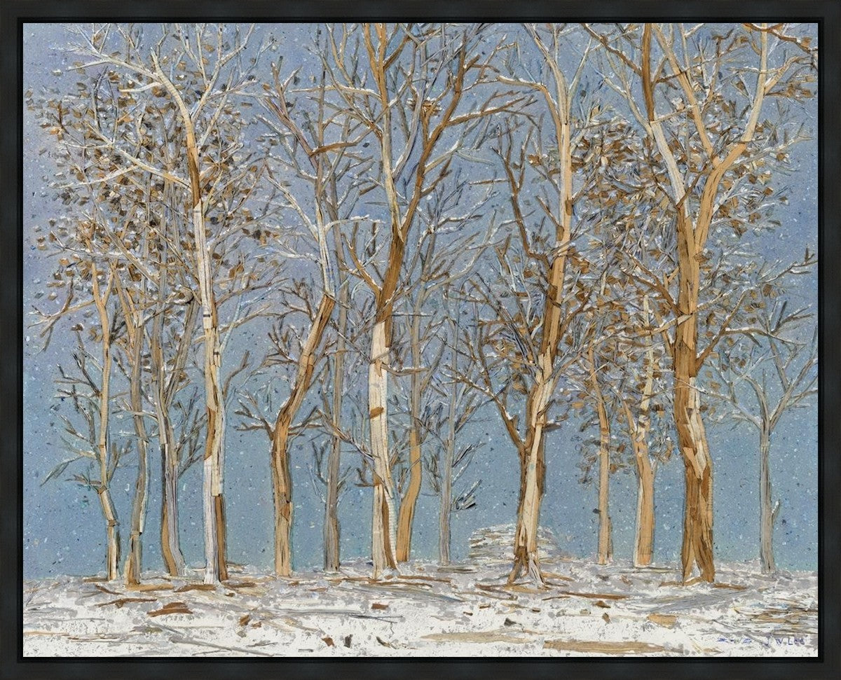 Winter Woods