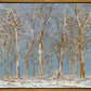 Winter Woods