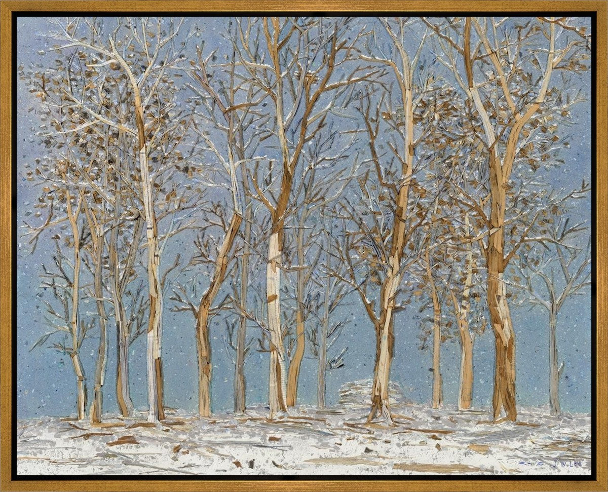 Winter Woods