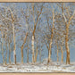 Winter Woods