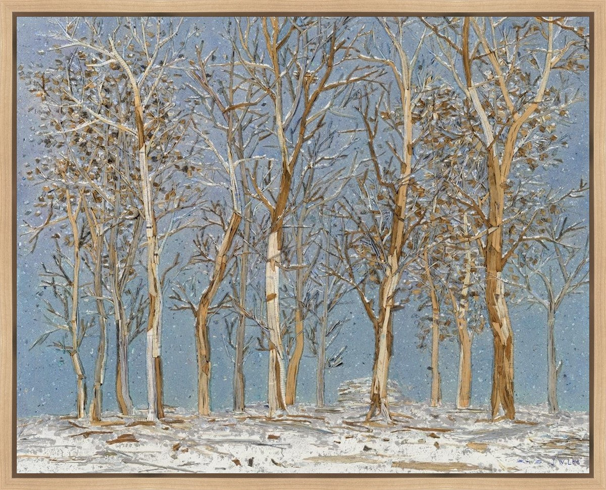 Winter Woods