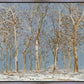 Winter Woods