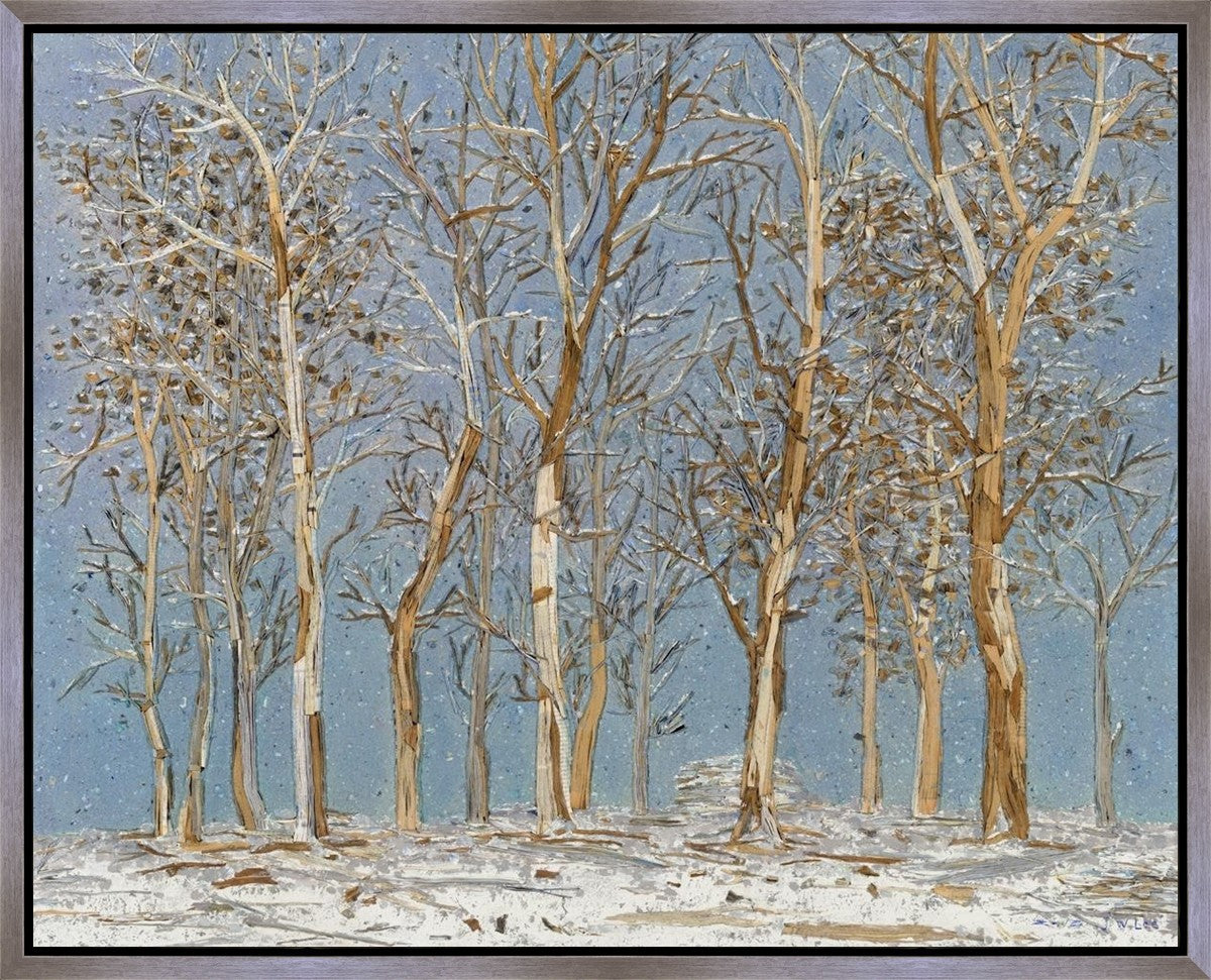 Winter Woods